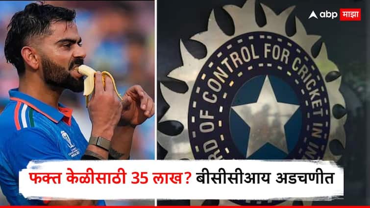 Image related to Bananas scam For BCCI : क्रिकेटपटूंनी 35 लाखांची केळी खाल्ली, BCCI ला हायकोर्टाची नोटीस, नेमकं प्रकरण काय?