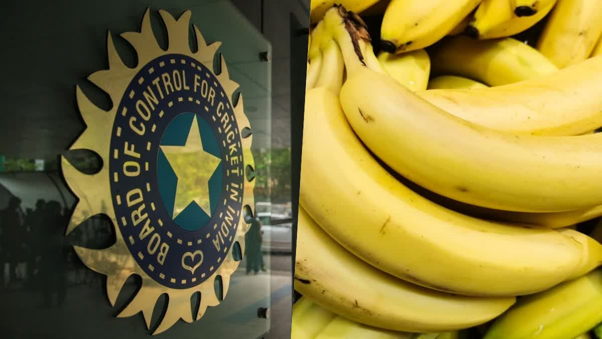 ಬಾಳೆಹಣ್ಣು ಖರೀದಿಗೆ ₹35 ಲಕ್ಷ ರೂಪಾಯಿ ಖರ್ಚು: ಬಿಸಿಸಿಐಗೆ ಹೈಕೋರ್ಟ್​ ನೋಟಿಸ್