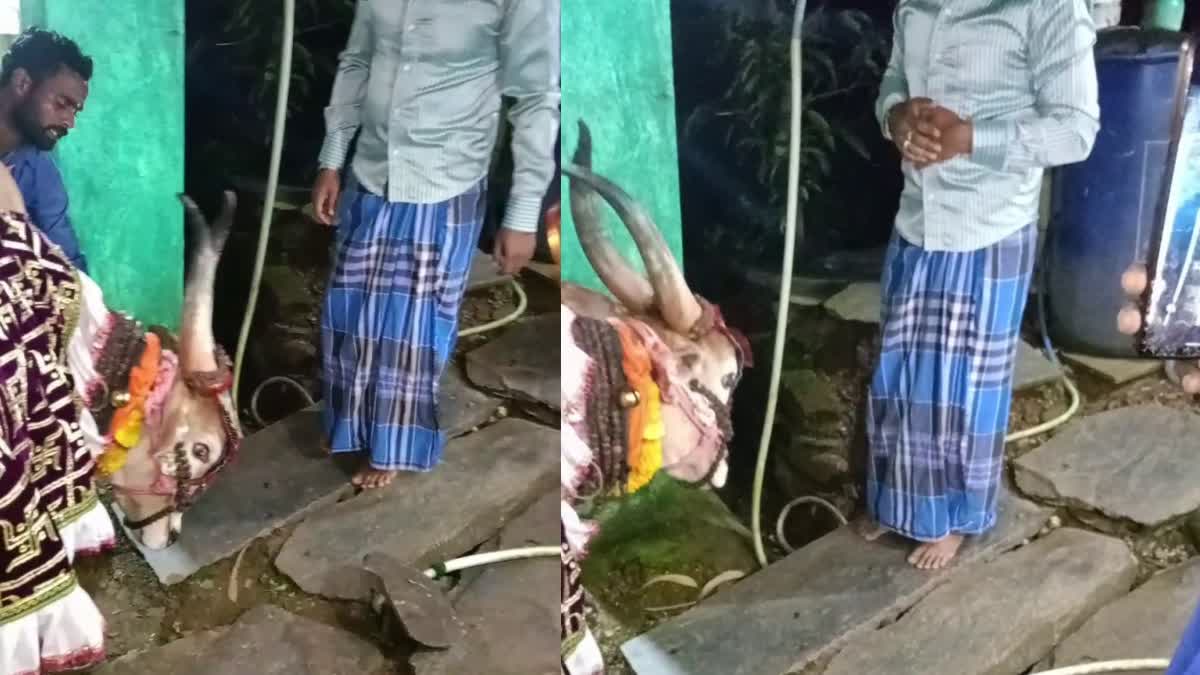 ಹಾವೇರಿ: ನಿಧಿಯಾಸೆಗೆ ದೇವರ ಕಲ್ಲನ್ನು ಕೆಡವಿದ್ದ ಕಳ್ಳರನ್ನು ಬಂಧಿಸಿದ ಪೊಲೀಸರು: ಮೂಕಪ್ಪಸ್ವಾಮಿ ಪವಾಡ ಎಂದ ಗ್ರಾಮಸ್ಥರು