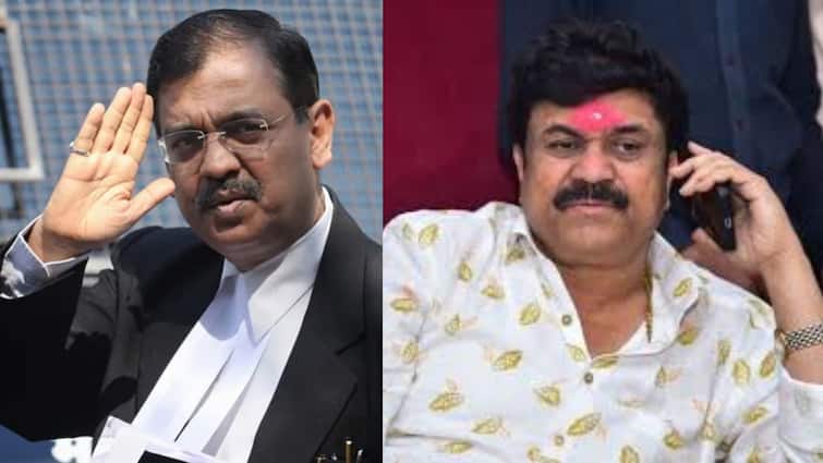 Walmik Karad & Ujjwal Nikam: संतोष देशमुख खटल्यातील आरोपींकडून D2 ऑपरेशन सुरू, उज्वल निकमांचा कडाडून विरोध, कोर्टात नेमकं काय घडलं ?