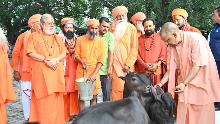 Gorakhpur News: गोरखपुर में CM योगी का पशु-पक्षी प्रेम, गोसेवा की, भवानी और भोलू को दुलारा, पुंज को भी खिलाया गुड़