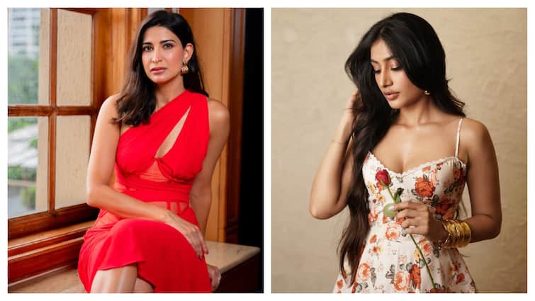 Aahana Kumra Slams Dhanashree Verma For Repeating Divorce Talk On Rise & Fall: 'Stop The Sob Story’