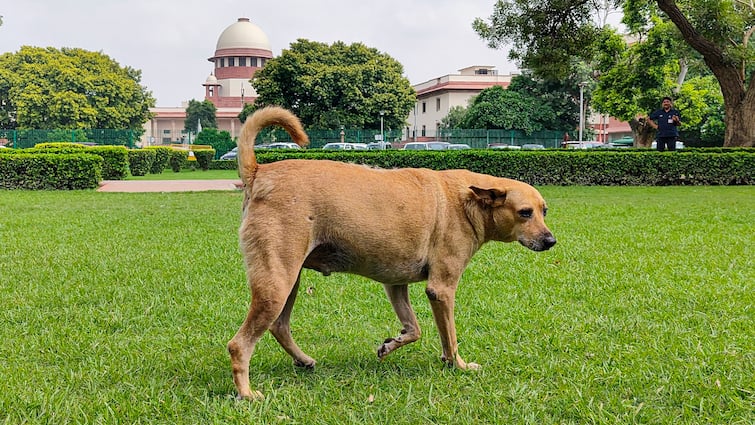 SC Questions Centre's 'False Alarm' Over Governors' Assent: 'What About Bills Pending For 4 Years?'