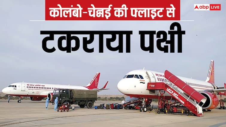 एयर इंडिया की कोलंबो-चेन्नई फ्लाइट की हुई इमरजेंसी लैंडिंग, पक्षी से टकराने के बाद लौटा विमान