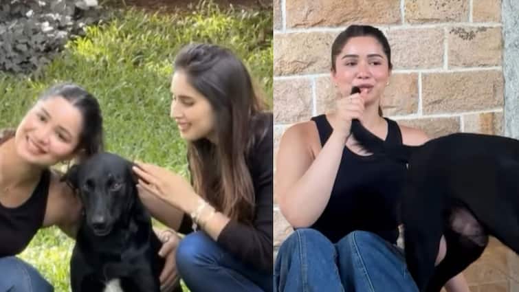 सारा तेंदुलकर ने कुत्ते की पूंछ का बनाया माइक, भाभी सानिया चंडोक के साथ की खूब मस्ती; देखें वीडियो