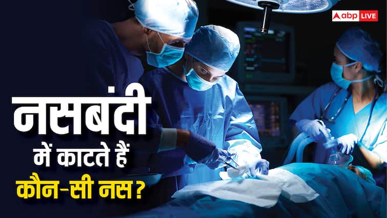 Sterilization Surgery: नसबंदी में कौन-सी नस काट देते हैं डॉक्टर, जिससे पैदा नहीं होते बच्चे?