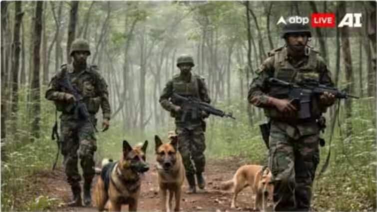 नक्सलवाद को अब तक का सबसे बड़ा झटका! गढ़चिरौली में सीनियर कमांडर सोनू समेत 60 नक्सलियों ने किया सरेंडर