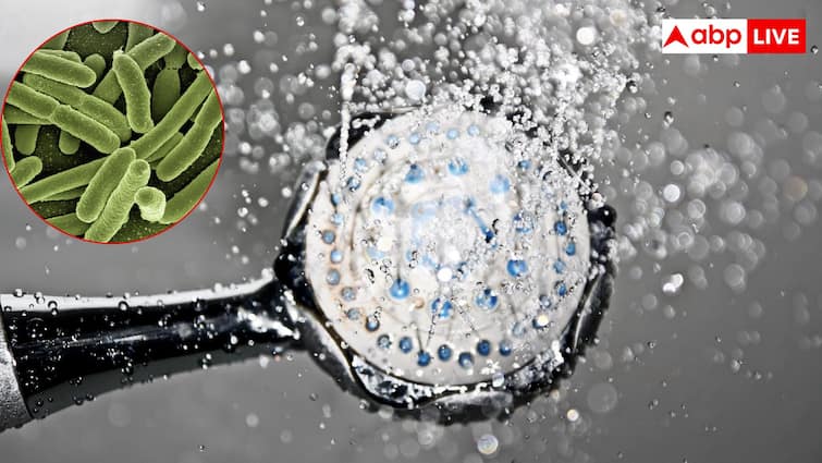 क्या आप भी रोज लेते हैं शॉवर तो अपने फेफड़ों को बना रहे इंफेक्शन का शिकार? यह बैक्टीरिया बना खतरा