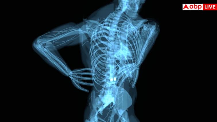 World Spine Day: क्या टूटने के बाद जुड़ नहीं पाती रीढ़ की हड्डी? शरीर के इस हिस्से को हल्के में लेते हैं लोग