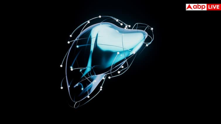 Cost of liver transplant in India: लिवर ट्रांसप्लांट में क्या डोनर का पूरा लिवर लगाया जाता है? जान लें इसका पूरा प्रोसेस और खर्चा