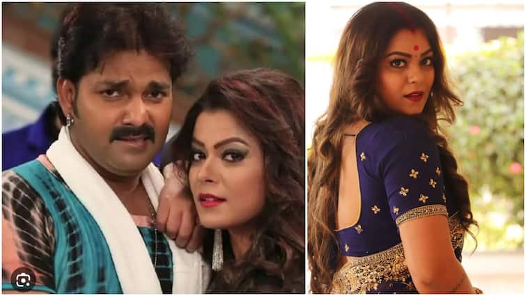 Birthday Special: पवन सिंह संग निधि झा ने दी भोजपुरी इंडस्ट्री को कई हिट फिल्में, 'गदर' से की थी शुरुआत