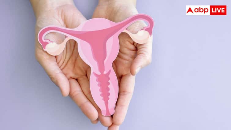 Metabolic Syndrome: मेटाबॉलिक सिंड्रोम महिलाओं में बढ़ा सकता है कई तरह के कैंसर का खतरा, रिसर्च में हुआ खुलासा