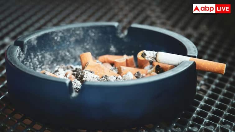 समय पर नहीं छोड़ी स्मोकिंग की गंदी आदत, बुढ़ापे में तेजी से घटेगी सोचने-समझने की शक्ति