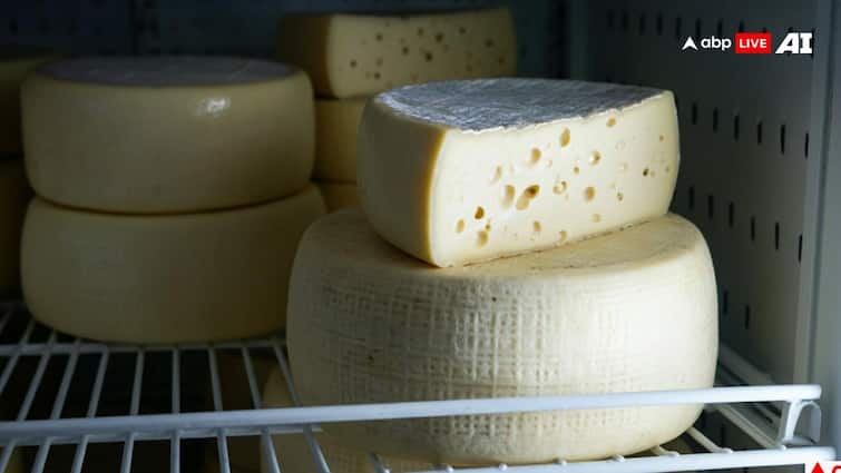 Synthetic Paneer: बाजार में कितने तरह का बिकता है पनीर, जानें कौन-सा सेहत के लिए कितना खतरनाक?