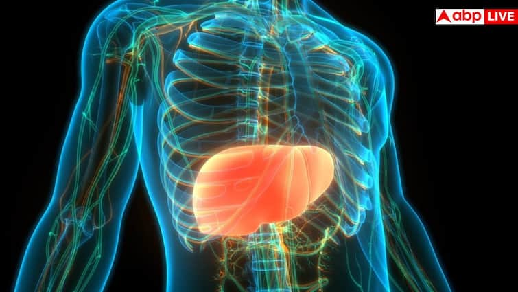 Early warning signs of Liver Disease: गलती से भी मत कर देना ये गलतियां, वरना लिवर हो जाएगा काला! चुटकियों में सांसें छीन लेगी मौत