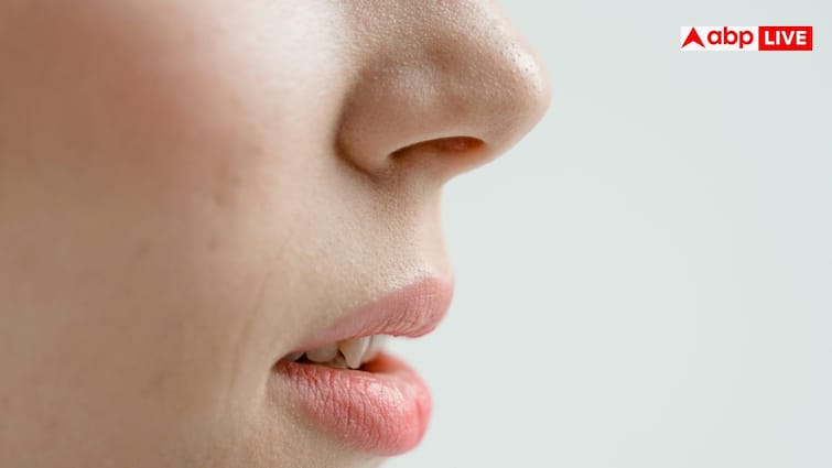 Nose Health Facts: इंसान की नाक से कैसे पता लगाते हैं उसकी जिंदगी की हकीकत? जान लें बेहद आसान तरीका