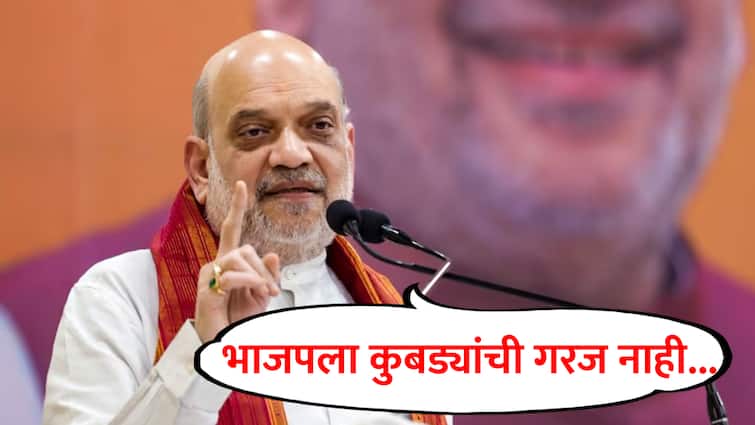 Amit Shah : भाजपला कुबड्यांची गरज नाही, पक्ष आता स्वबळावर चालतो; अमित शाहांचा रोख कुणाकडे?