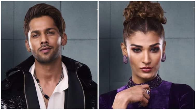 Image related to 'Nehal Aur Main Sirf Dost Hi The': Baseer Ali Opens Up On Relationship Rumours After Bigg Boss 19 Exit