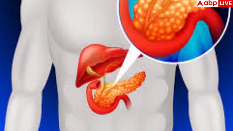 Pancreas warning signs: आपका पैन्क्रियाज ठीक से काम कर रहा या नहीं, ये होते हैं 5 वार्निंग साइन