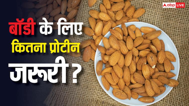 High Protein Diet Risks: कितना प्रोटीन इनटेक हो जाता है बॉडी में हद से ज्यादा प्रोटीन, इससे सेहत को कितनी हो सकती है दिक्कत?