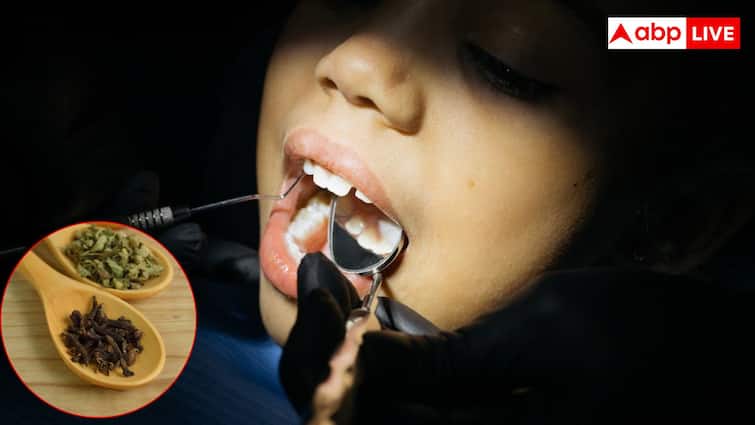 नीम से लेकर लौंग तक... दांतों और मसूड़ों को हेल्दी रखने के लिए ये हैं असरदार तरीके