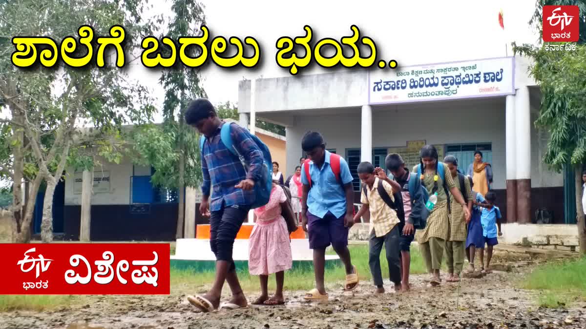 ದಾವಣಗೆರೆ: ಕೆಸರು ಗದ್ದೆಯಂತಾದ ಶಾಲೆ ಆವರಣ; ಸೊಳ್ಳೆಗಳ ಕಾಟಕ್ಕೆ ಹೆದರಿ ಶಾಲೆಗೆ ಬಾರದ ವಿದ್ಯಾರ್ಥಿಗಳು