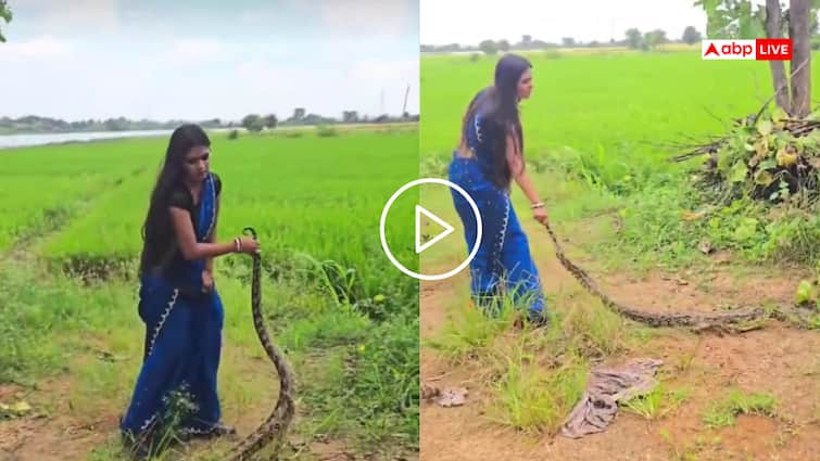 Video: अजगर के साथ खिलौने की तरह खेली लड़की, पूंछ पकड़ खींचा, लोग बोले- जिगर हो तो ऐसा