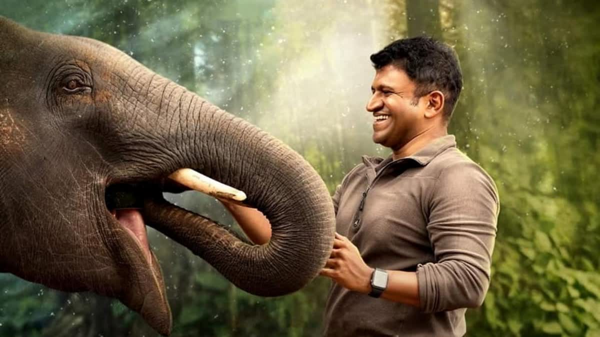 ಅಪ್ಪು ಇಲ್ಲದೇ 4 ವರ್ಷ!; ಜನಮನ, ಸಿನಿಮಾಗಳಲ್ಲಿ ಜೀವಂತ: ಸಂದೇಶ ಸಾರಿದ ಪುನೀತ್ ಸಿನಿಮಾಗಳಿವು