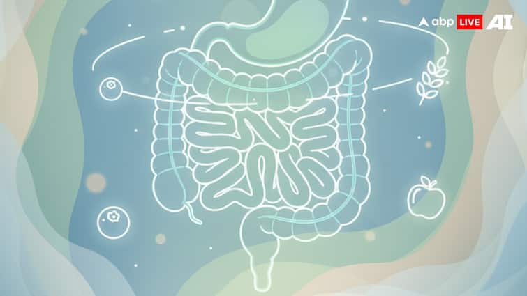 Gastrointestinal Health: Common Foods To Avoid For Better Digestion And Preventing Gastric Diseases