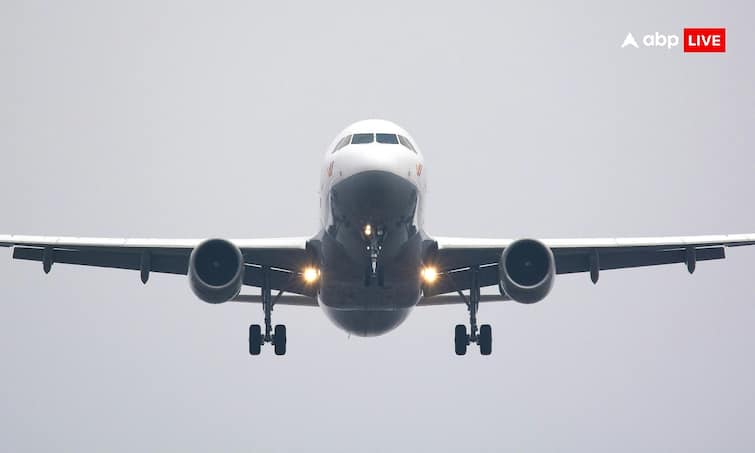 अमेरिकी फ्लाइट में भारतीय ने काटा बवाल, दो पर कांटे से किया वार, महिला को जड़ दिए थप्पड़