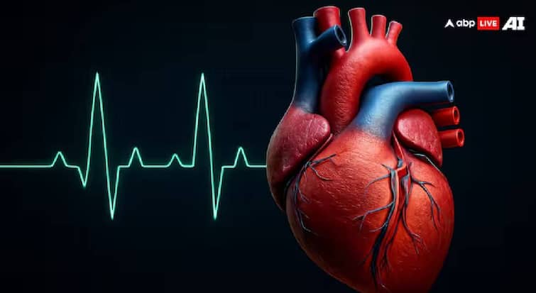 Patanjali News : हृदयरोगांवर यशस्वी उपचार! पतंजलीच्या योग आणि आयुर्वेदाने दिलं रुग्णांना जीवनदान, पतंजली वेलनेसचा दावा