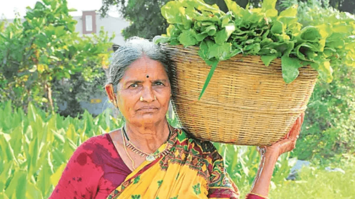 ರಾಸಾಯನಿಕ ಮುಕ್ತ ಸೊಪ್ಪೇ ಇವರ ಹೆಗ್ಗುರುತು: ಅಮೃತಮ್ಮನ ಕೃಷಿ ಕ್ರಾಂತಿ