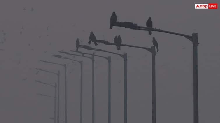 Delhi AQI: दिल्ली-एनसीआर में सांस लेना हुआ मुश्किल! छाया घना कोहरा, AQI 380 के पार, हो सकती है बारिश