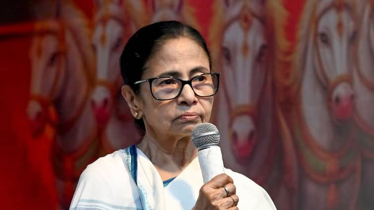 'Tragic Consequences': Mamata Links Suicides In Bengal To SIR, Slams BJP’s ‘Politics Of Fear And Hate'