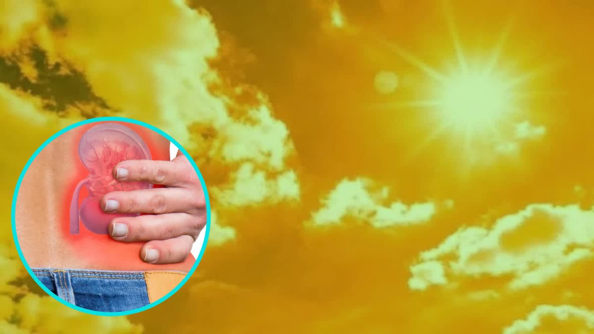 ರೈತರೇ ಗಮನಿಸಿ: ದೀರ್ಘಕಾಲ ಬಿಸಿಲಲ್ಲೇ ಕೆಲಸ ಮಾಡುತ್ತಿದ್ದೀರಾ? ಅಧ್ಯಯನದಲ್ಲಿ ಆಘಾತಕಾರಿ ಅಂಶ ಬೆಳಕಿಗೆ