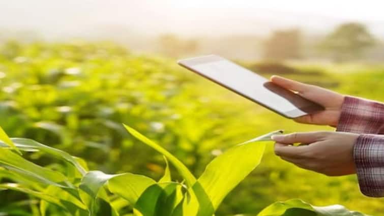 राज्यात 100 टक्के पीक पाहणीसाठी पुन्हा मुदतवाढ; महसूल मंत्री चंद्रशेखर बावनकुळेंचे सर्व जिल्हाधिकाऱ्यांना आदेश